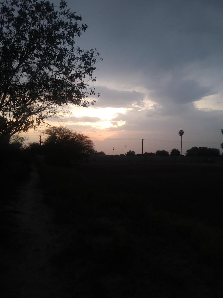 Miki (Aka Miguel Pappas) tweet media