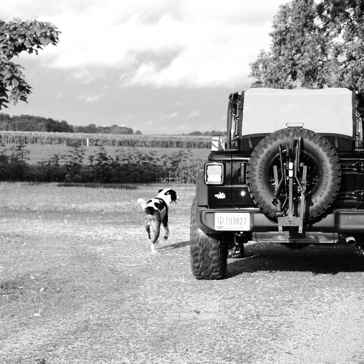 JustAddMud's tweet photo. Man's best friend usually the most excited to see me come home!
#justaddmudoffroad #jeepfriends #jeepwranglerlife #doorsoff #JeeperApproved #jeepmirror #offroading #4x4 https://t.co/M4u4J2fb0V
