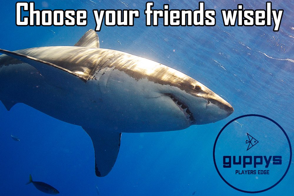 guppysio's tweet photo. https://t.co/aOuUWxUQW4 just released SPLASH Lending! Available to all holders of iPlay. Lenders earn upwards of 70% APY lending tokens: IOST VOST & iTRX. To celebrate new lenders will receive up to 5% airdrop of iPlay for each SPLASH Loan done from 7/23 to 7/30 #iost #iplay https://t.co/TzRdWCkP5P