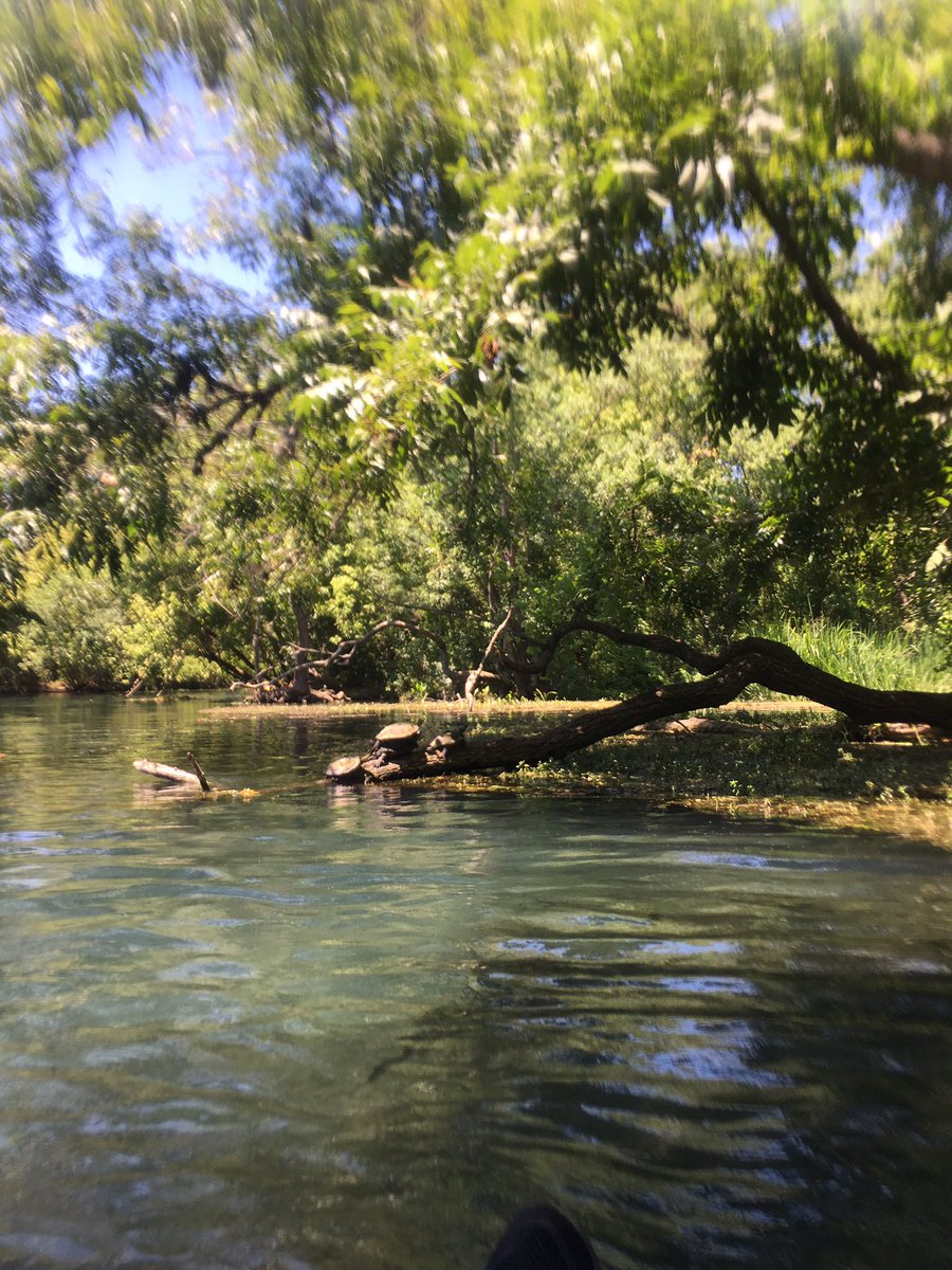 alikhaneats's tweet image. A river runs through it. #riverfloat