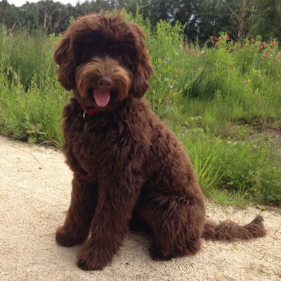 ThaSkoundrel's tweet photo. #NewProfilePic https://t.co/efHd6sHFzQ