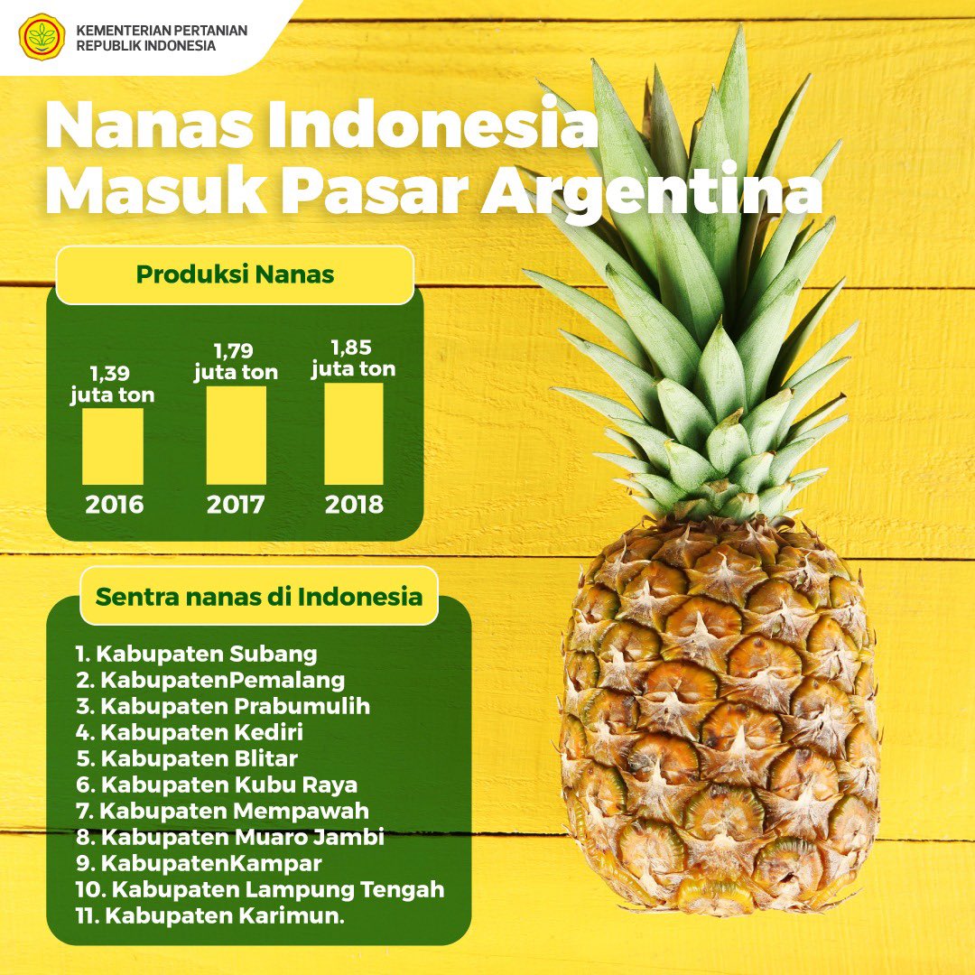 kementan's tweet photo. Nanas salah satu buah yang berhasil #EksporPertanianKeArgentina nih sobaTani 🍍🍍 https://t.co/xVdyA6uLBH