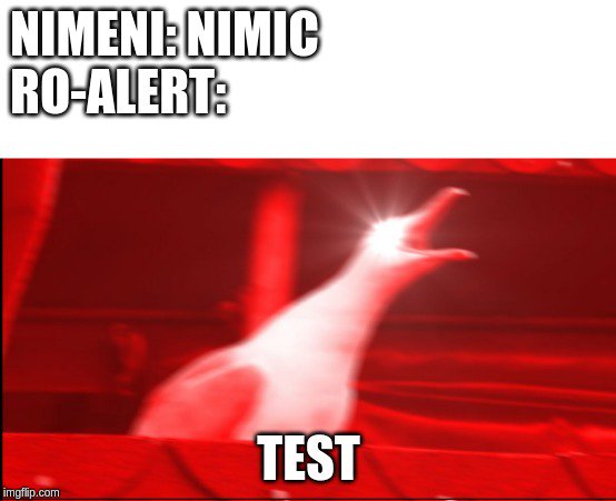Miercuri dimineata