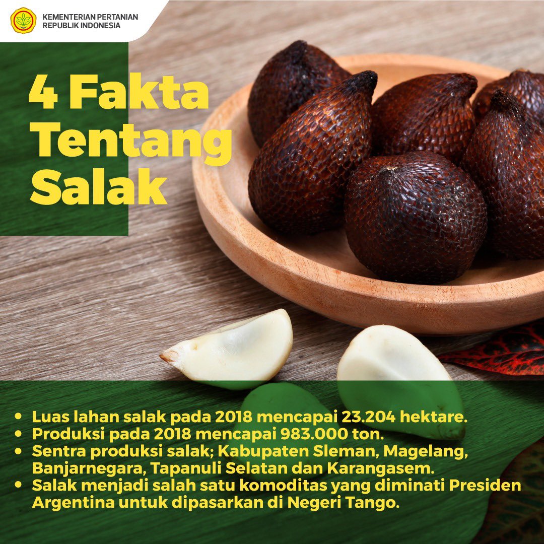 kementan's tweet photo. Salak Indonesia pun sudah banyak masuk ke pasar ekspor dunia loh #EksporPertanianKeArgentina https://t.co/E9HilSCB2t