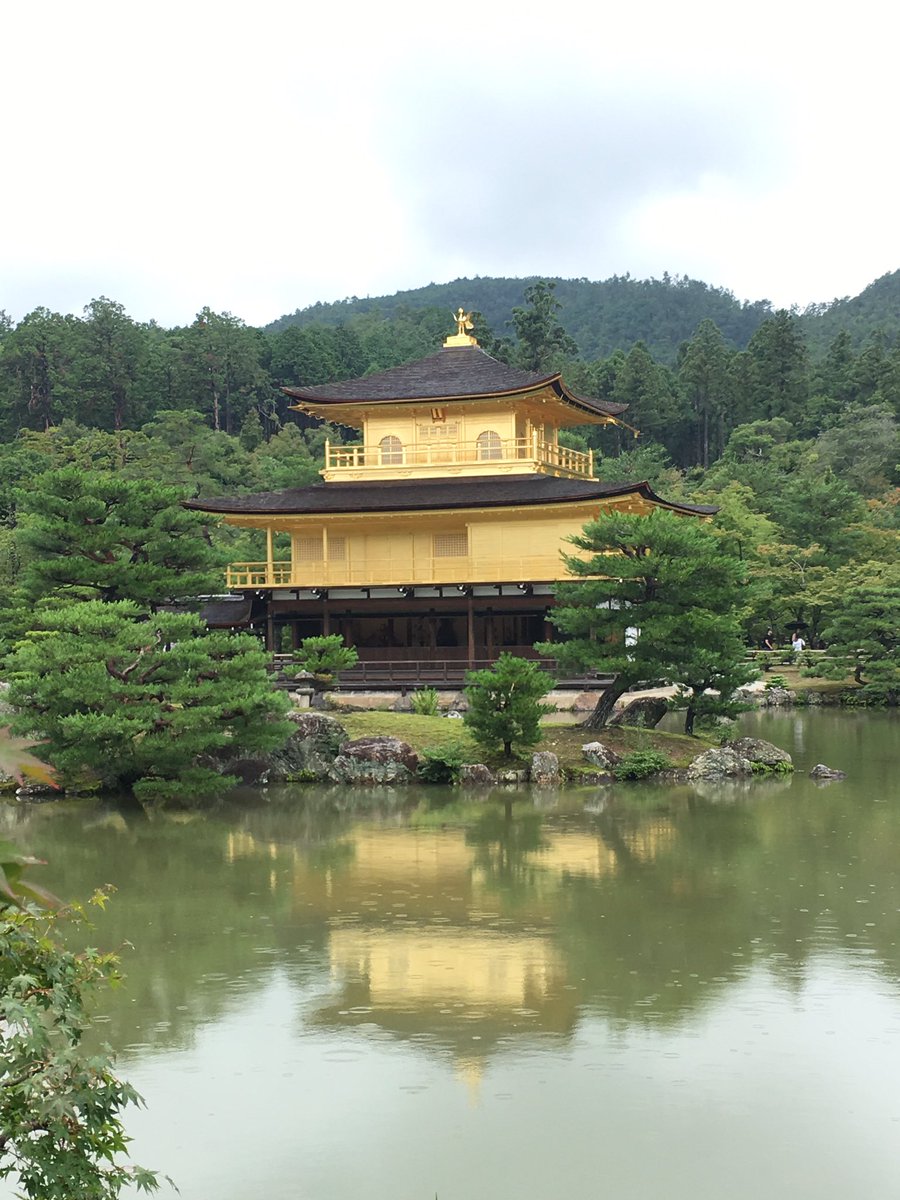 CWStarkings's tweet photo. Great few days in Japan, from the summit of #MountFuji to the bright lights of #Tokyo and lots in between. Too early for the #RWC2019 but plenty to see and do #Sumo #NoRamenNoLife #Japan #BulletTrain #Kyoto https://t.co/jC5voOgOAl