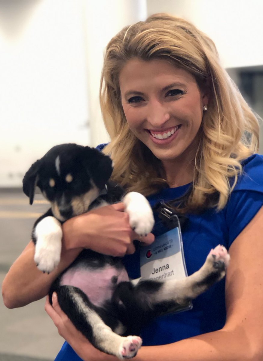 JennaDags's tweet photo. Every conference should have puppies 🐾 #ConnectCetera #connect19 https://t.co/qTlH3UXGul