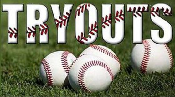 Whisky Jacks tweet media