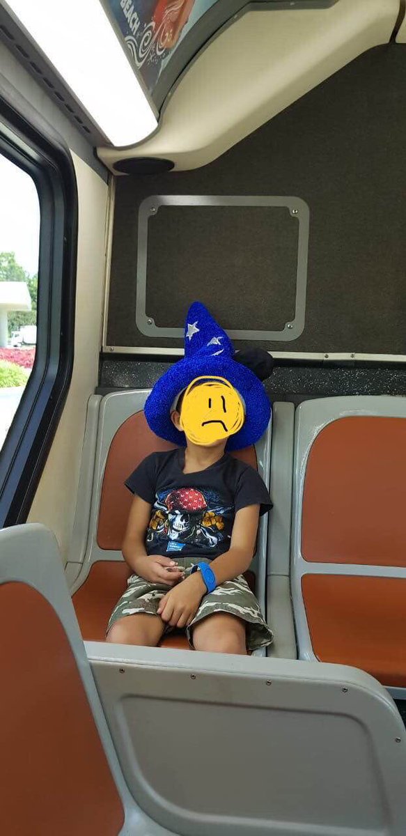AriadnaPavn's tweet photo. Maui perdió su sombrero en camión de @Primera_Plus ayúdanos a recuperarlo es su favorito y esta muy triste por haberlo dejado en el camión #mauroperdiosusombrero https://t.co/9cocmEyv9S
