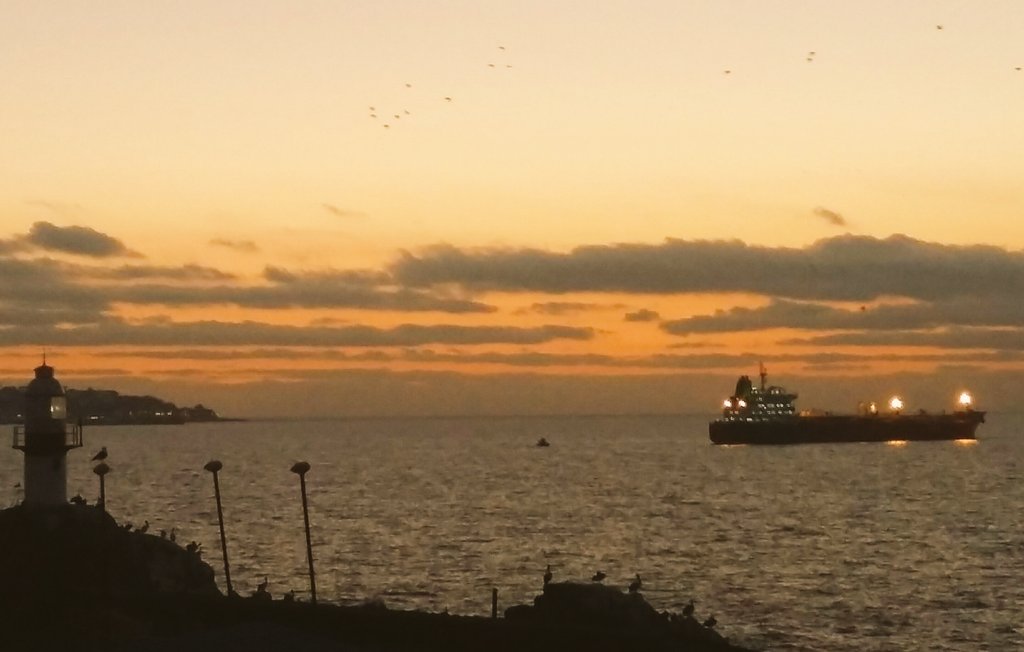 Off_Valpo's tweet photo. @Oriettaf @estompado @DGTM_Chile @ELTIEMPOCHV @CambiaClima @min_ciencia @COPASSurAustral @COP25CL @SomosNuestroMar @puertosantonio @Maritgobsno @folovap @Comlog_Chile @maritimoport @PortalPortuario @JaimeCepedaC @JimenaCaceresH @JorgReyes10 @javieer2ignacio @Janknot @Tecno_ciencia @bsbarret @SSalinasJ @Huesoespin @GBertolottoQ @valparaiso @tzingane @edgardolazo @NicoleLayana @nimbus_82 @carlos_che_ @belenvelasquez @marichivalero @alexismalll @Sepulinares @meteochile_dmc @MeteoAste @meteodiego @nimbusmeteorol @DMAficionadaCH @biobio @EmbChileNZ @CaptAndres @EspinosaMarty @EspinosaMeteo @FcoWidow @Campanitaza @Capuertovalp @TPS_Valparaiso @PortValparaiso atardecer en #Viña_del_Mar con nubosidad baja del tipo #Stratus_Cumulus en el horizonte frente al Faro #Punta_Condell y el petrolero #Silver_Ginny (MH) fondeado a la gira con su proa en dirección al #Norte (porque mañana también estará nublado, según https://t.co/XNBvtKULJ3) https://t.co/IS39mdb5V4