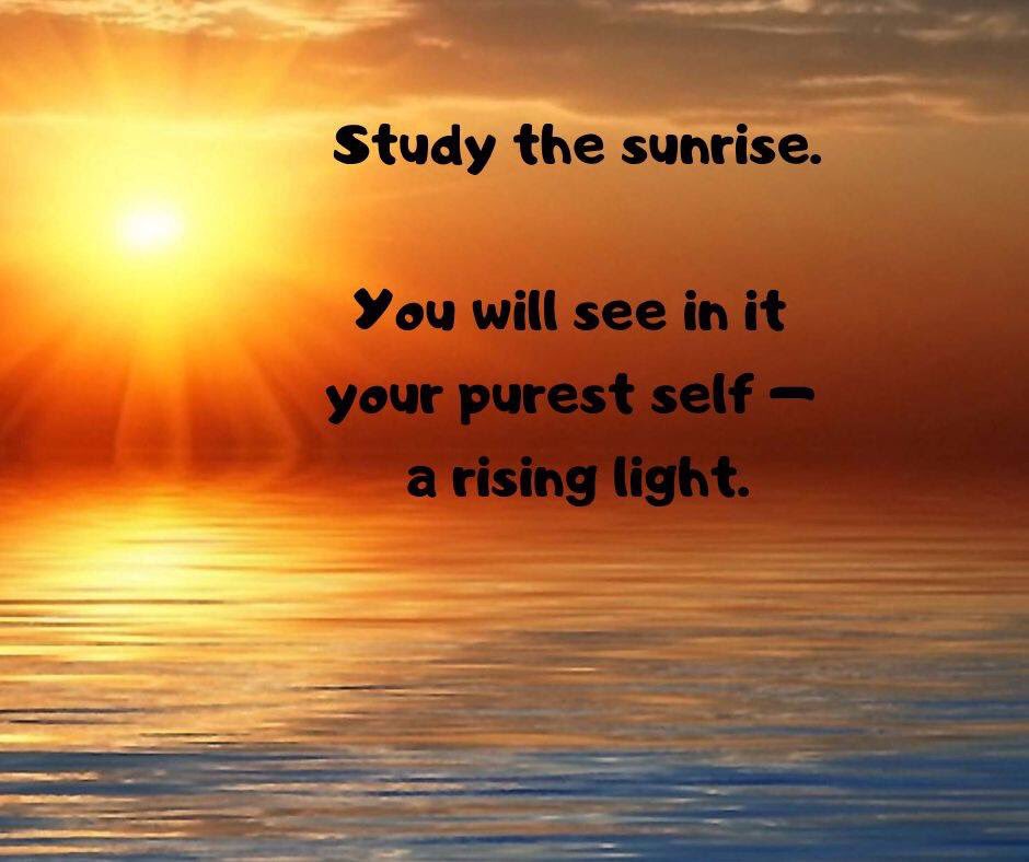 NewWavesofLight's tweet photo. Study the sunrise....
You will see in it your purest self - a rising light ✨ #sunrise #pureself #risinglight #risinghumanity #bridgeoflight #newwavesoflight #light #love #soul https://t.co/kRESnqmtk2