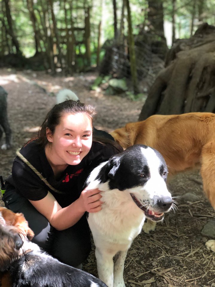 bowendogranch's tweet photo. Are you going on holiday? Send your dog to the Bowen Island Dog Ranch and give them their own holiday! 🐶🐾

info@bowendogranch,com
https://t.co/p2f9Msy1hB
604-947-6965

#wespeakdog #vancouver #bowenisland #dogs #puppy #campfordogs #dog #lovedogs  #pet #cute #kennel #dogboarding https://t.co/fGROxvAkzM