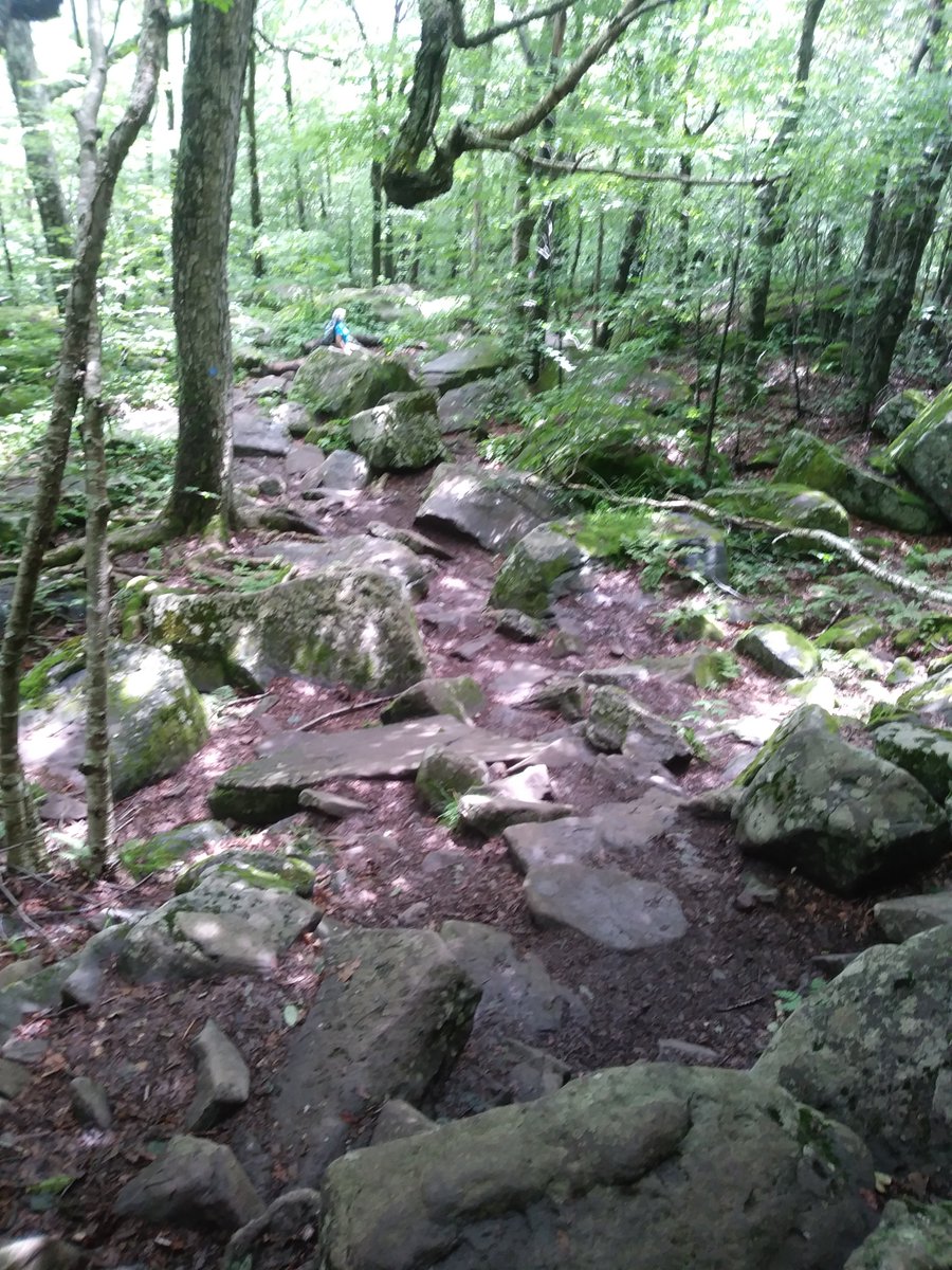 MontiFACS's tweet photo. Spent a few days camping and hiking #summeradventures #BeWellMonti #BWMStaff https://t.co/gbq30We03C