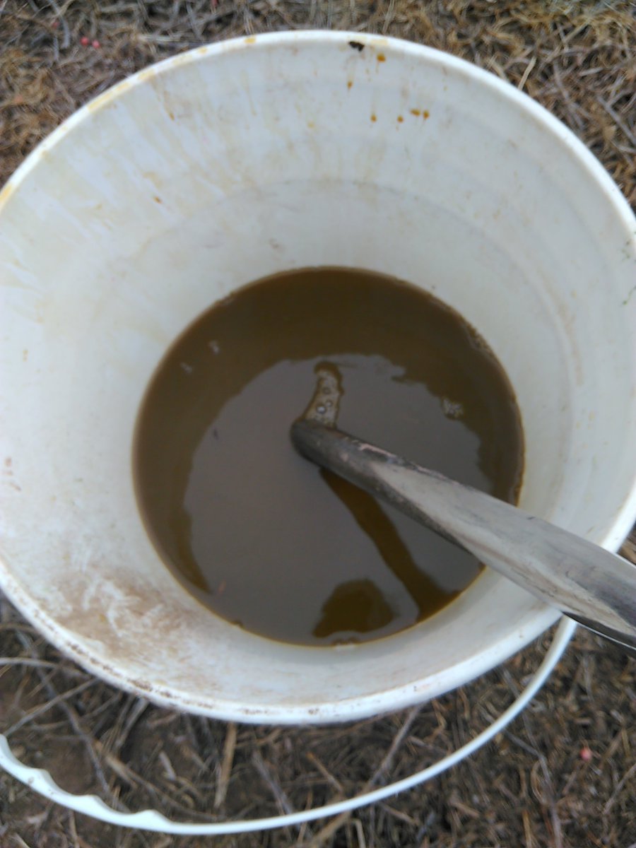 Boscoclau's tweet photo. Ensayo de tratamiento de semillas 100% Biológicos en Arveja
#Tricoderma #Pseudomonas #Basillus #Rhizobium #Aminoacidos
Buscándole la vuelta a una producción más sustentable https://t.co/3ILAnDLHHq