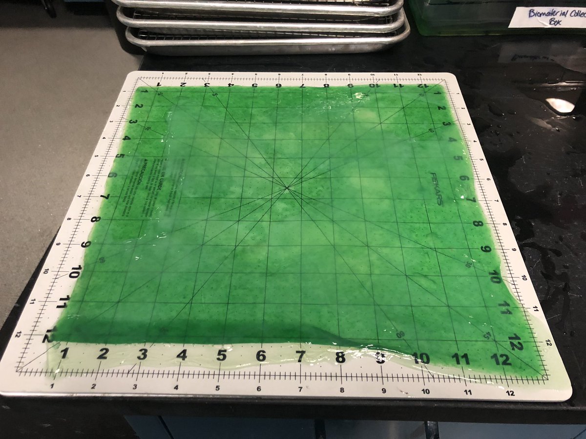biophilebytes's tweet photo. Look at that big beautiful green sheet of biomaterial. 👀 Taking a quick break to admire it before cutting it into smaller squares for #MakingWithMicrobes. #BiotinkeringLab #kombucha https://t.co/MjsKgxLnjd