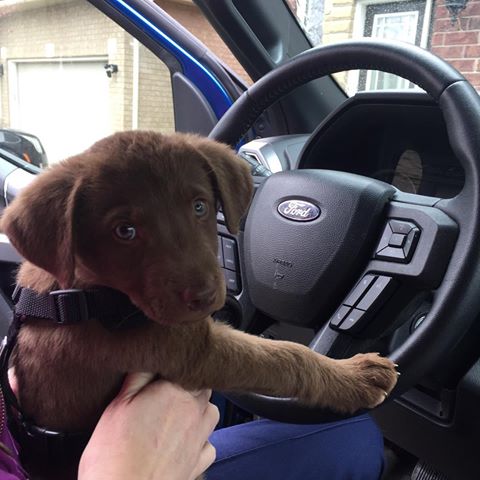 Cowles_Ford's tweet photo. Browse our new inventory and schedule your test drive today! https://t.co/jFNGuC0iGX https://t.co/FsYGqt1vls