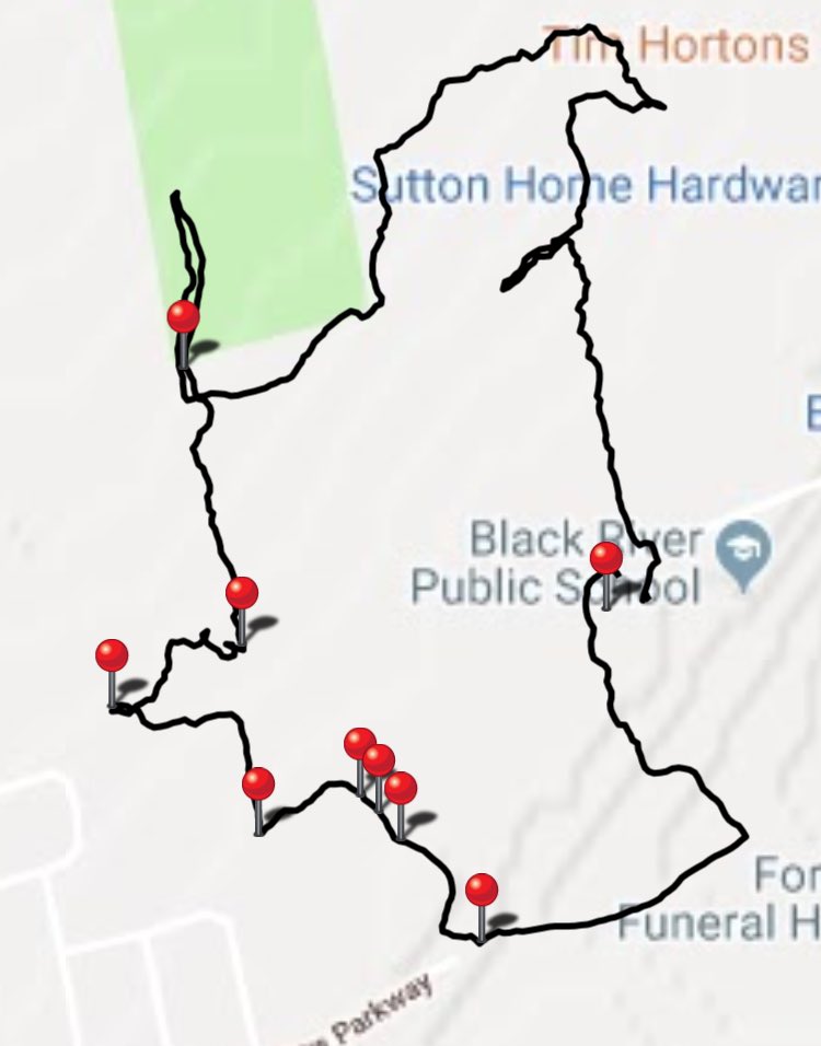 Mr. Halstead tweet media