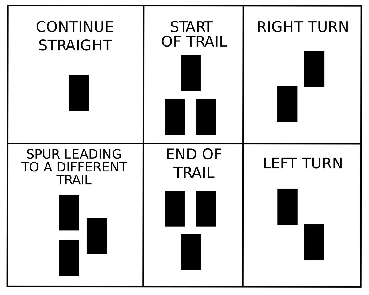 Mr. Halstead tweet media