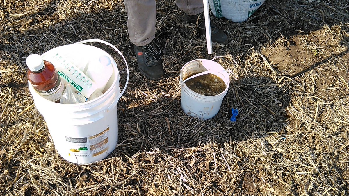 Boscoclau's tweet photo. Ensayo de Tratamiento de semillas 100% Biológico en Trigo🌾🌾🌾

#Pseudomonas 
#Tricodermas 
#Basillus 
#Aminoacidos https://t.co/bQqvHMeOio