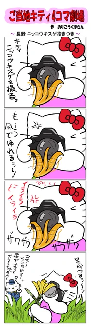 #ご当地キティ4コマ劇場 #ご当地キティ #4コマ漫画 #ハローキティ #キティ #サンリオ #長野 #長野ニッコウキスゲ抱きつき  #ニッコウキスゲ 