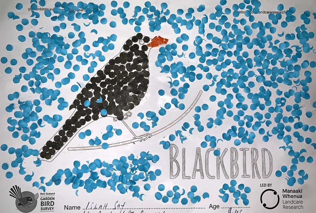 If you have a moment please do share the love &amp; vote for your favourite NZ Garden Bird Survey colouring competition entries.  The creative juices of these next-generation environmental champions have been flowing 🕊️ 
bit.ly/2szfKR4