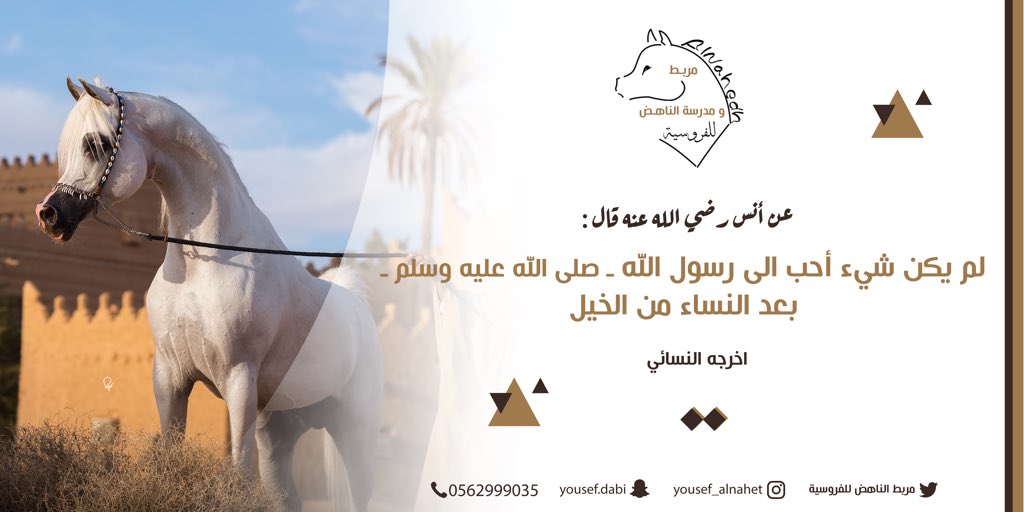 yousef555899's tweet photo. #هل_تعشق_الخيل_وركوبها https://t.co/wWhT367UVX