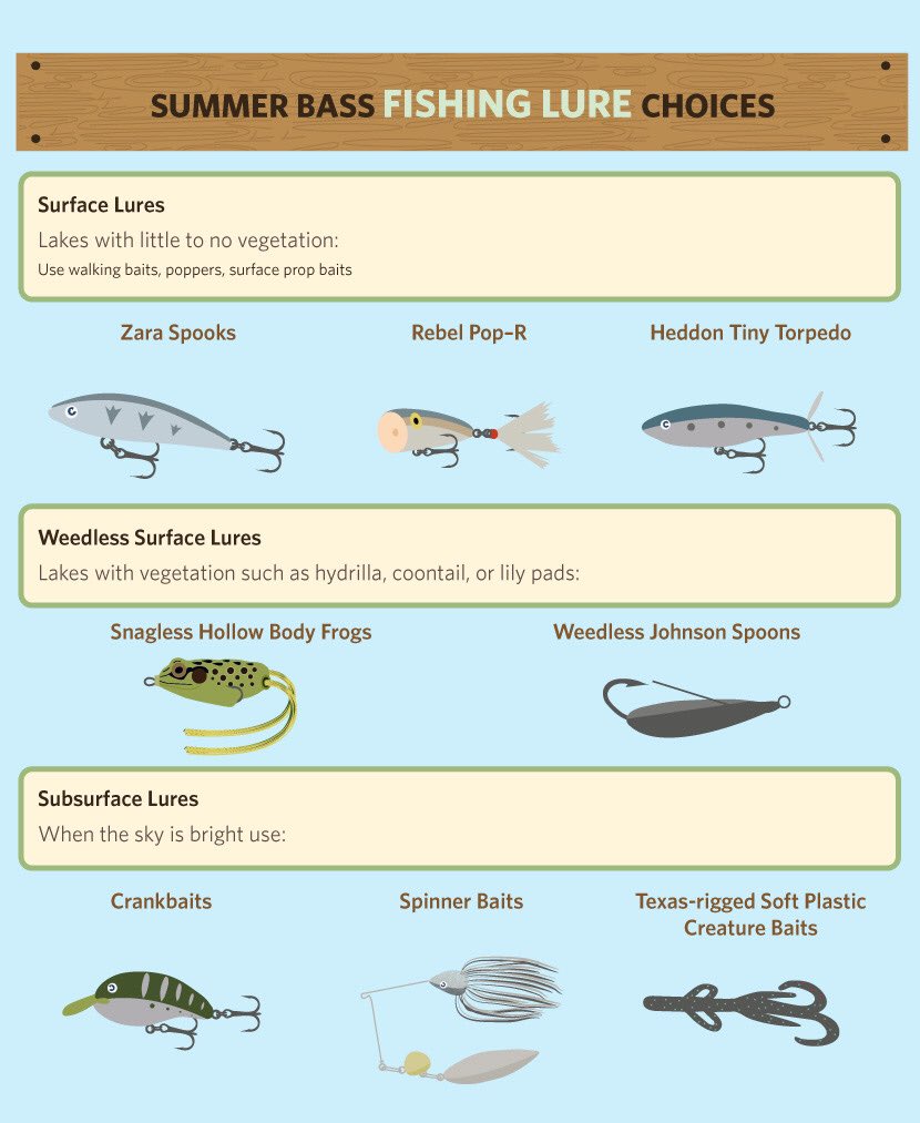 REDGILLSFISHING's tweet photo. #bassfishing #fishing https://t.co/IEOkMLX8RN