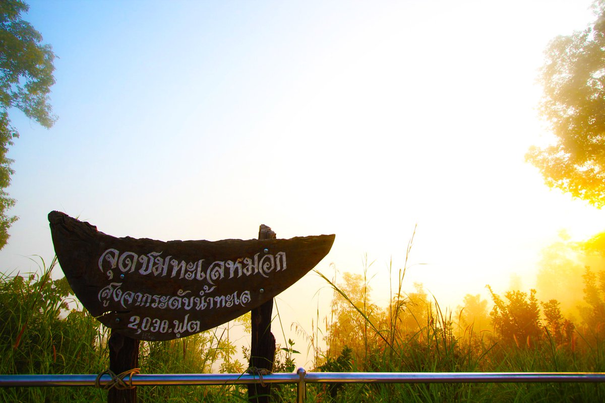 reward_Life's tweet photo. 📍ทะเลหมอกอัยเยอร์เวงที่ใหญ่และสวยงาม มาสัมผัสอากาศอันบริสุทธิ์ และทัศนียภาพที่สวยงามของยอดเขาไมโครเวฟ พร้อมสูญอากาศโอโซน บริสุทธิ์ได้ที่เบตงนะ🙃💕🇹🇭📍 >>https://t.co/ASvoGYnrZc
#ท่องเที่ยวกับรีวอร์ดไลฟ์ #RewardLife #รีวิวไทยแลนด์ #ReviewThailand #ท่องเที่ยวเบตงยะลา https://t.co/TgmCgduPaI