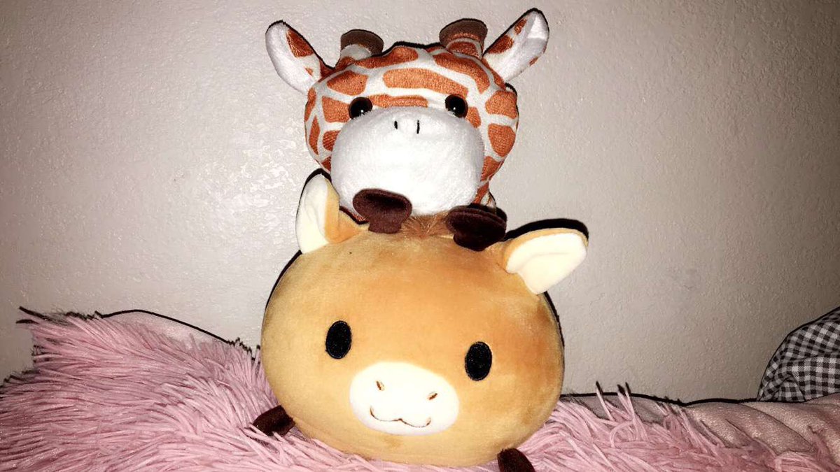 SwarmSweetie's tweet photo. hehe made a new friend https://t.co/szkZcmTI3R