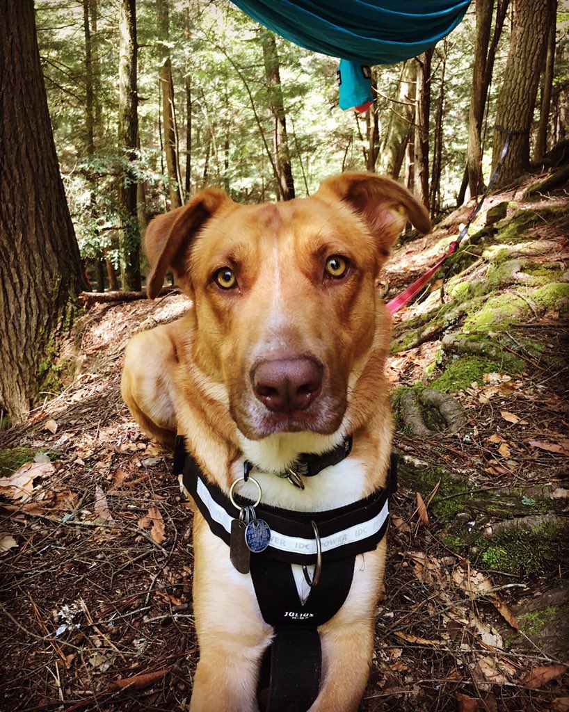 Madeline Thomas tweet media