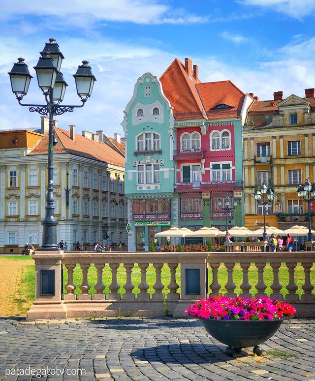 GFSpirit's tweet photo. Reposting @patadegatotv: - via @Crowdfire
To really #ExperienceRomania you have to stay in #Timiosara, it’s not only a #beautiful #city but it’s where 1989 #revolution began and ended with communist dictatorship.
.
.
.
.
#color #travel #travelphotography #travelblogger https://t.co/IxaObUcBvg