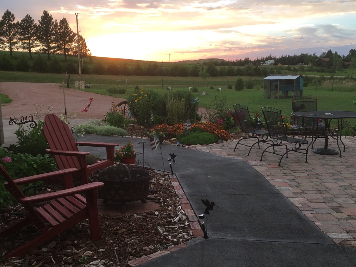 ⁦<a href="/MrSpeirsMath/">Michael Speirs</a>⁩ won’t come visit?  #panzy