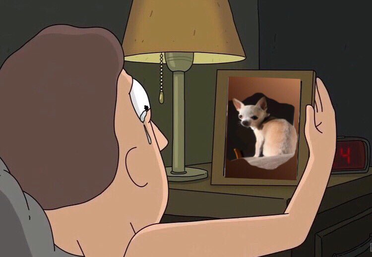 stinkyflea69's tweet photo. https://t.co/xtpxmignQO