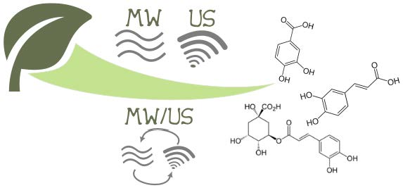 Molecules_MDPI's tweet image. #mdpimolecules Technology and Process Design for Phenols Recovery from Industrial Chicory (Chicorium intybus) Leftovers mdpi.com/1420-3049/24/1… #GreenExtraction #NaturalProducts #UltrasoundAssistedExtraction #MicrowaveAssistedExtraction