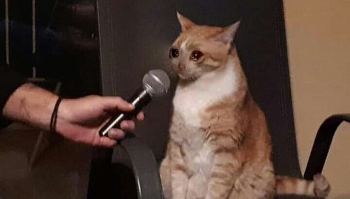 imtodie's tweet photo. cuando alguien me dice q nunca me va a lastimar y al final lo termina haciendo https://t.co/Xc6MSlnsOQ