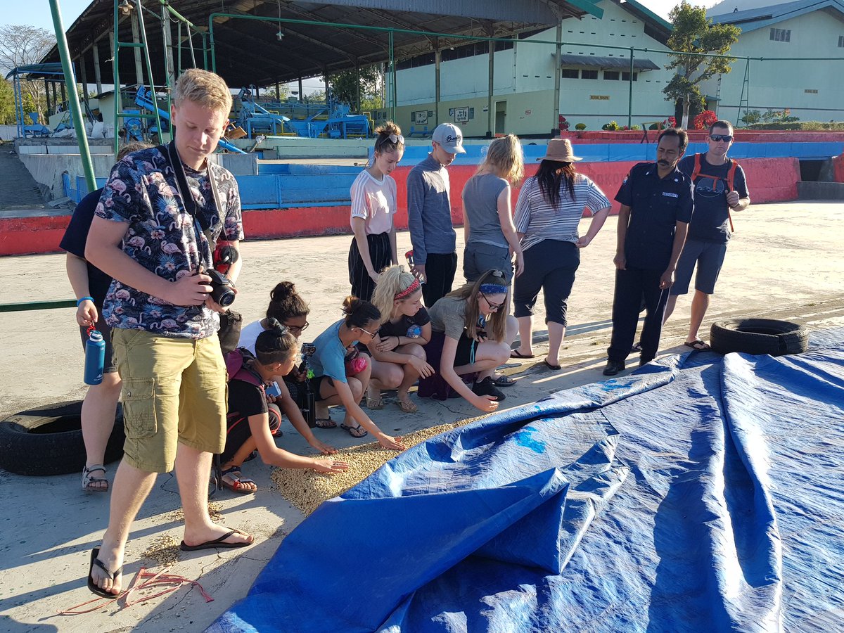 TomlinscoteTrip's tweet image. Had a lovely afternoon checking out the coffee plantation in Arabica. #trueadventure #tomlinscoteforthewindonesia #facinating #funbeans #21days