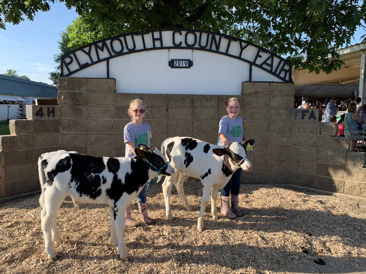 Amanda_C_B's tweet photo. 1st year showing! Great job girls!! #best5daysofsummer https://t.co/0LlS0TSKXk