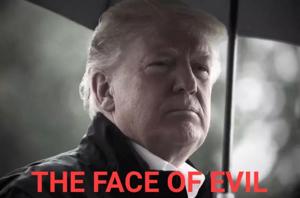 shunnyonec's tweet photo. @realDonaldTrump You are not exonerated, and they will get you once out of office. You will go down in history as a laughing stock. #ResignAlready or #BeImpeached https://t.co/xNEmx4zmEN