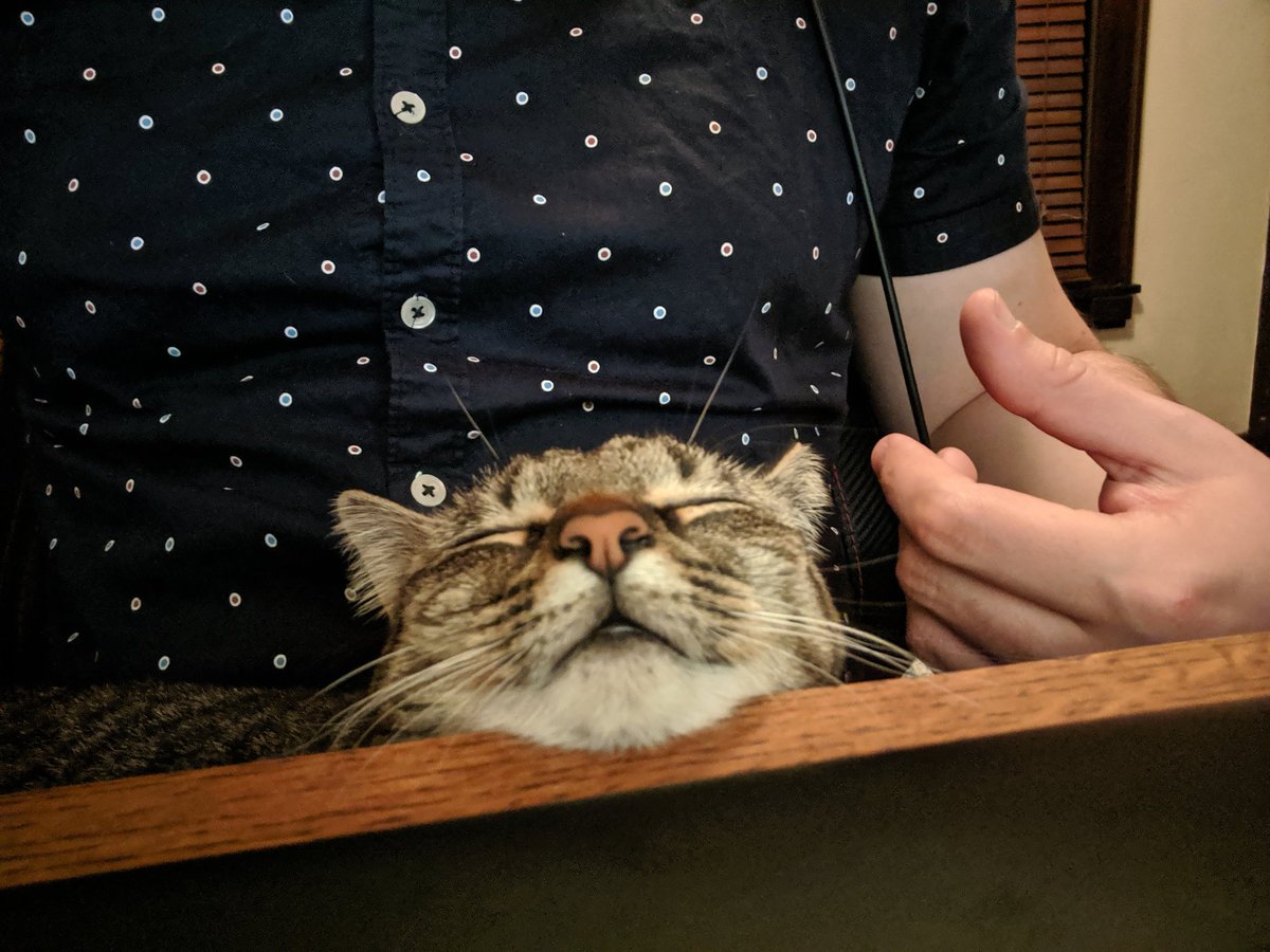 I'll be at <a href="/NJGAMERCON/">East Coast Gaming Expo ECGX</a> this weekend! Come say hello and ask me about my cat, Kiki