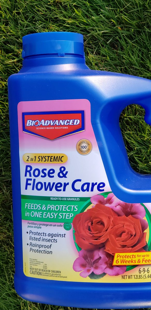 cindypaur's tweet photo. Love these long summer evenings...time to spend outside. My rose garden really needs some TLC! https://t.co/sgQDMM6jTy