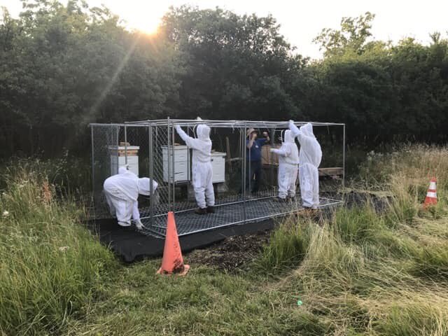jolietrefinery's tweet photo. We have some truly fantastic summer interns. They initiated a legacy project to reconstruct and expand the apiary at our Wildlife Habitat area. #welovepollinators #itsgreattobeeanintern #WildlifeatWork https://t.co/XUiy0jqrFO