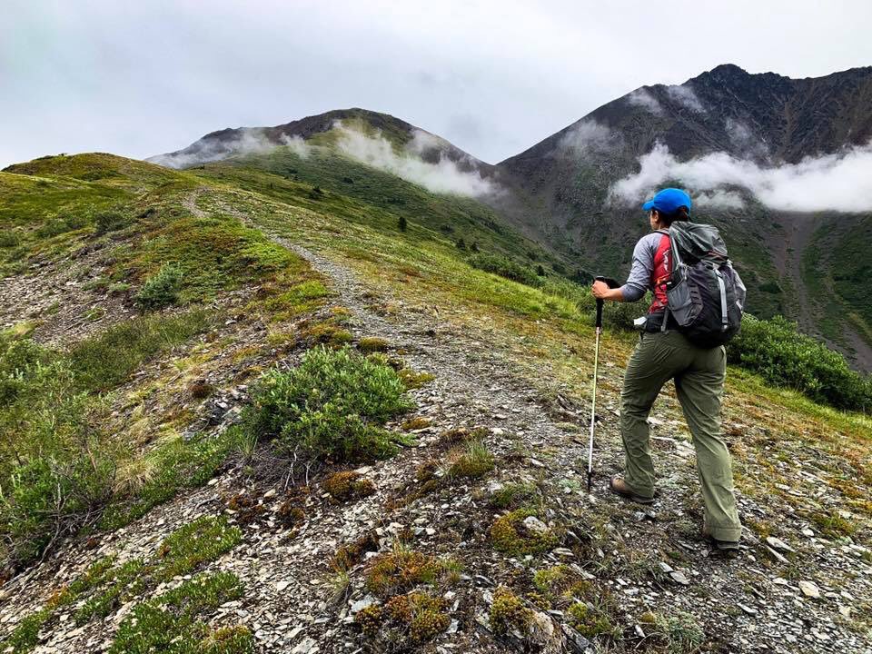 Today’s adventure objective was the higher peak above the Caribou Mountain route. It proved to be an exciting ridge walk, although the fog surrounded us, so no views from the top.
#yukonhiking #exploreyukon #yukonadventure #cometomyyukon #ridgewalk