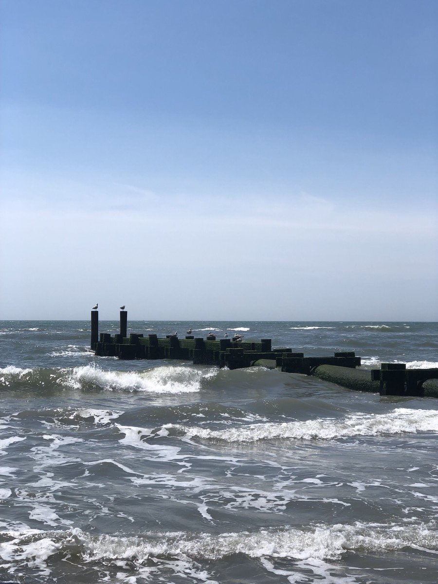 Udval (@deemee12345) on Twitter photo 