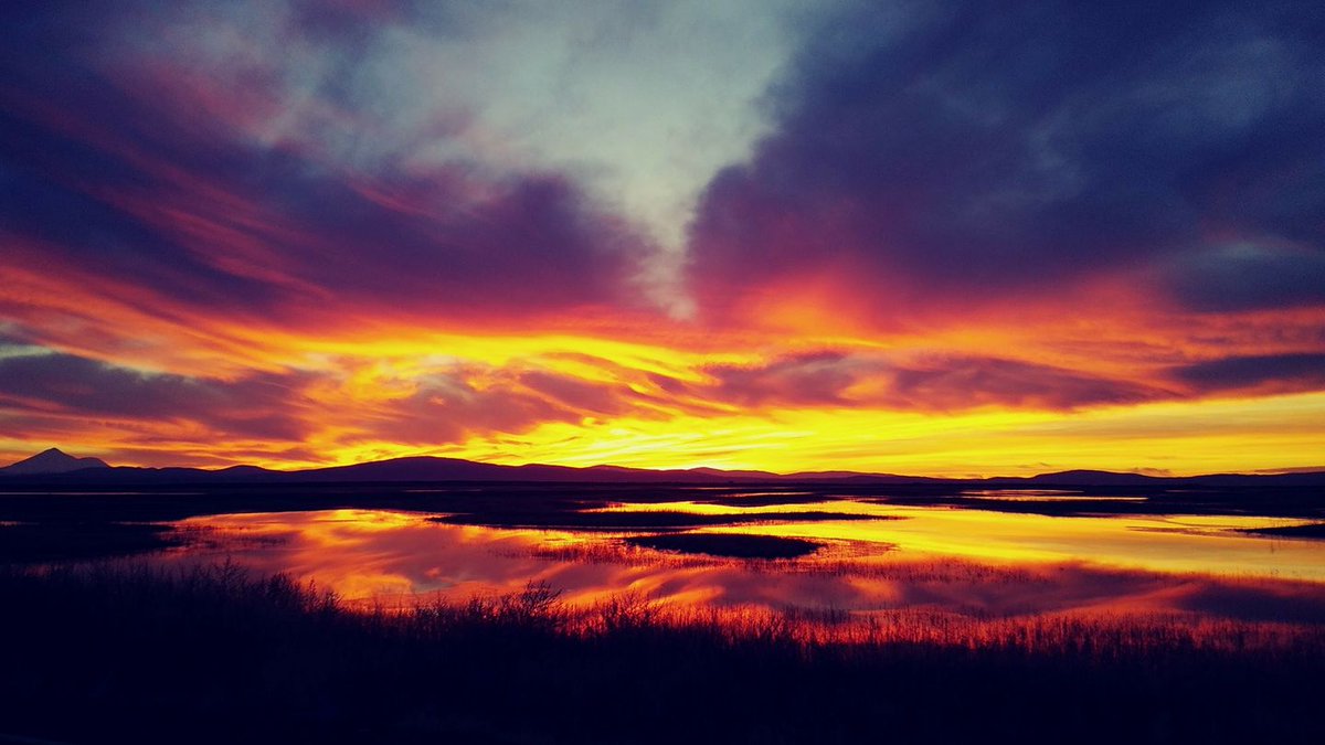 USFWS_PSW's tweet photo. Who doesnโt love seeing purples, oranges and yellows all in one setting?
Location: #Klamath National #WildlifeRefuge
#Findyoursunset: https://t.co/tT4f0R8S7x
#yourpubliclands #findyourpark Photo by USFWS https://t.co/dfY4TVuPrC