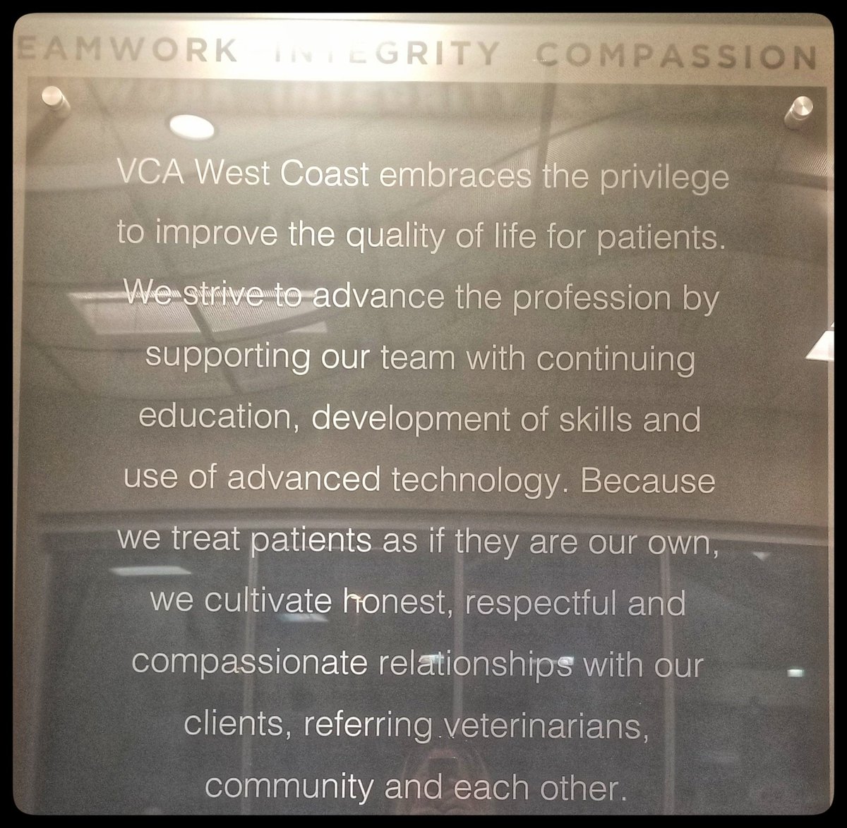 Angela ❤s 🐶🐾 and Misses 🐱 tweet media