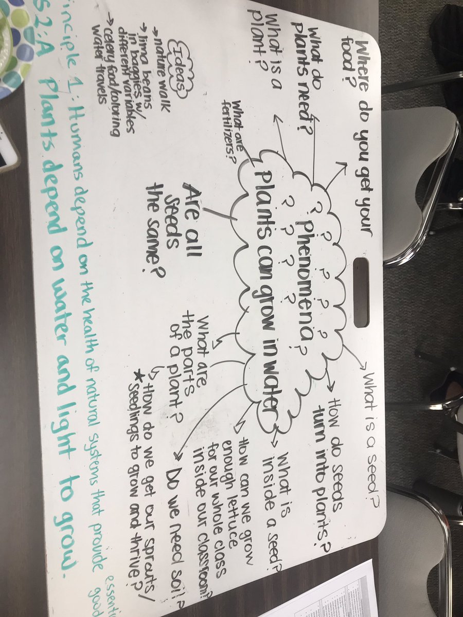 krystlemmiller's tweet photo. We ended our institute today with an Aquaponics phenomena driven grade level #Cangss learning sequence, highlighting an Environmental Principle. I was so impressed with what our @EUSD teachers planned today. Thank you @twnklstrr @ECO_LIFE @C_Ray13 https://t.co/OxzEvIo95N