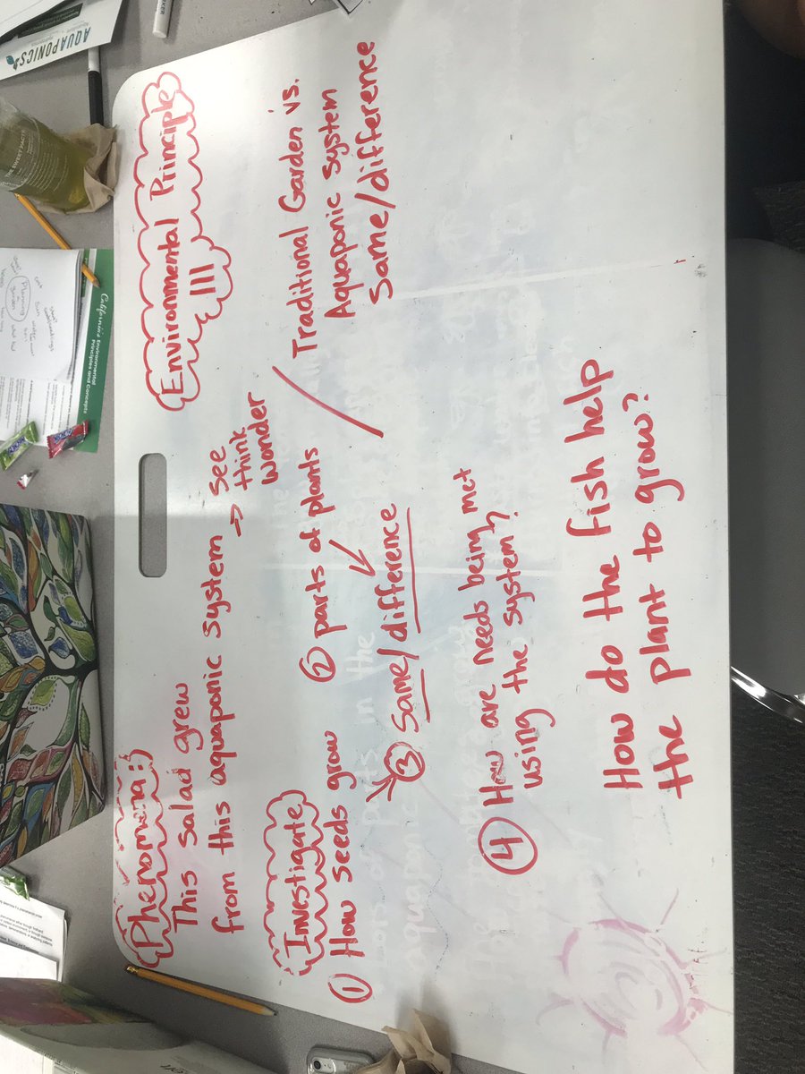 krystlemmiller's tweet photo. We ended our institute today with an Aquaponics phenomena driven grade level #Cangss learning sequence, highlighting an Environmental Principle. I was so impressed with what our @EUSD teachers planned today. Thank you @twnklstrr @ECO_LIFE @C_Ray13 https://t.co/OxzEvIo95N