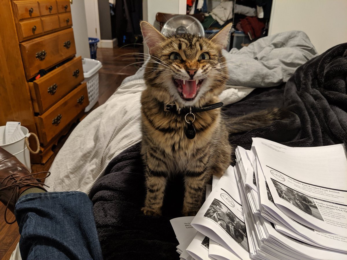 "DO IT NOW!"