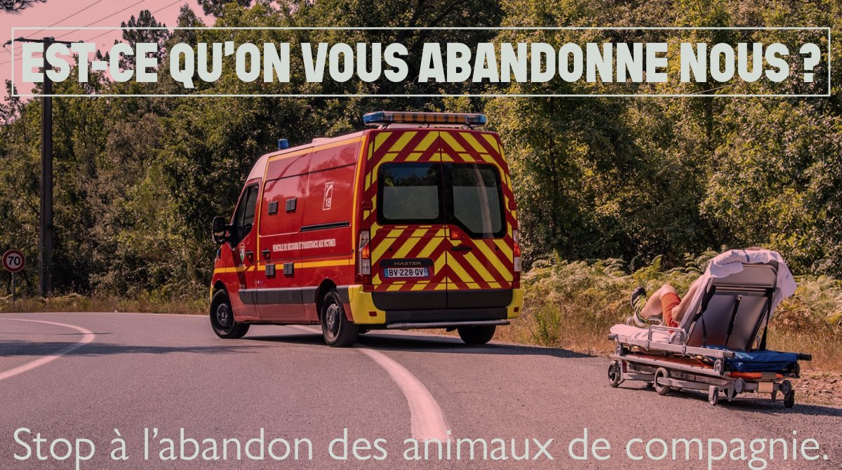 sdis_06's tweet image. ▫️ #Soutien ▫️ Avec 100.000 #chiens &amp;amp; #chats abandonnés chaque année en #France dont 60.000 l’été... Nous donnons un coup de 👍🏻 à @30millionsdamis &amp;amp; sa fondation pour lutter contre l’abandon des #animaux et à leur oubli pendant la #canicule. 
🐶🐱🐈🐕