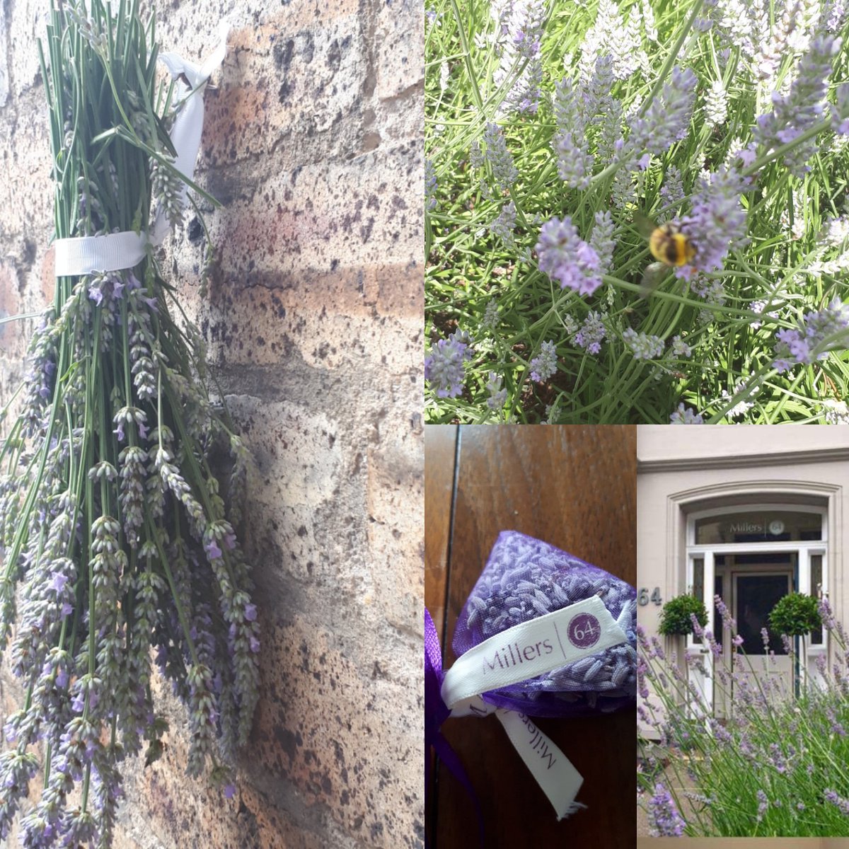 My clever sister @ShonaC1963 makes our lucky guests #lavenderbags #homegrown @Millers64Edin @VisitScotland #bestbnb #awardwinning #Edinburgh #Leith #Citybreak