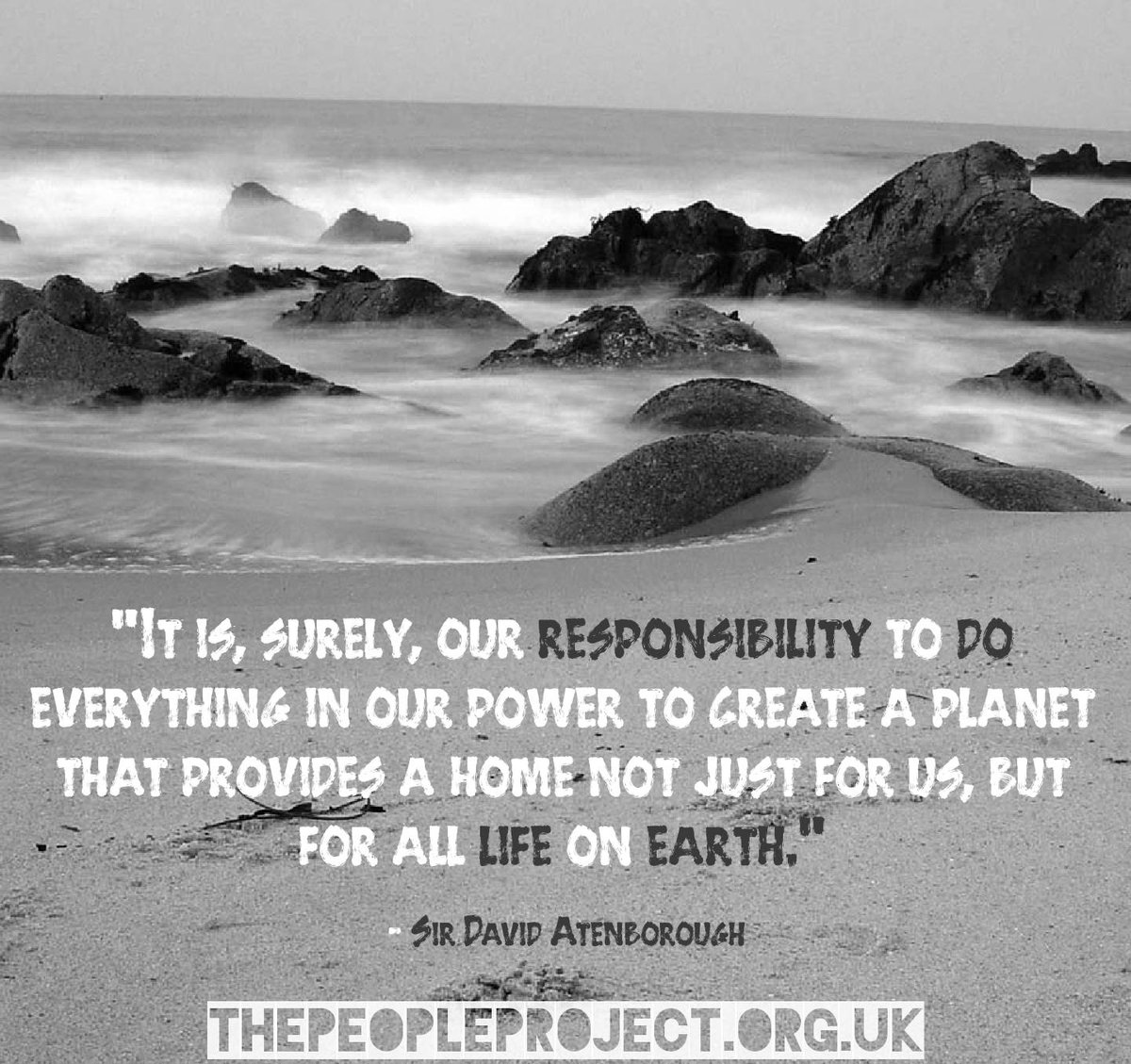 TPPConcept's tweet photo. "It is, surely, our responsibility to do everything in our power to create a planet that provides a home not just for us, but for all life on earth." 

🌎🐬🐵🐼🐧🌵🐊🐄🐘🐟🐁🌎

#SDGs #GlobalGoals #PeopleProjectPromotions #DavidAtenborough #PlanetEarth #DailyQuotes #QuoteOfTheDay https://t.co/TFU388omVg